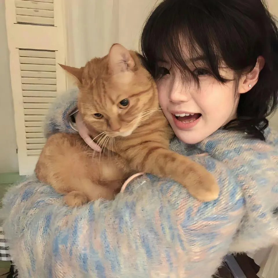 教室的那一间第三季